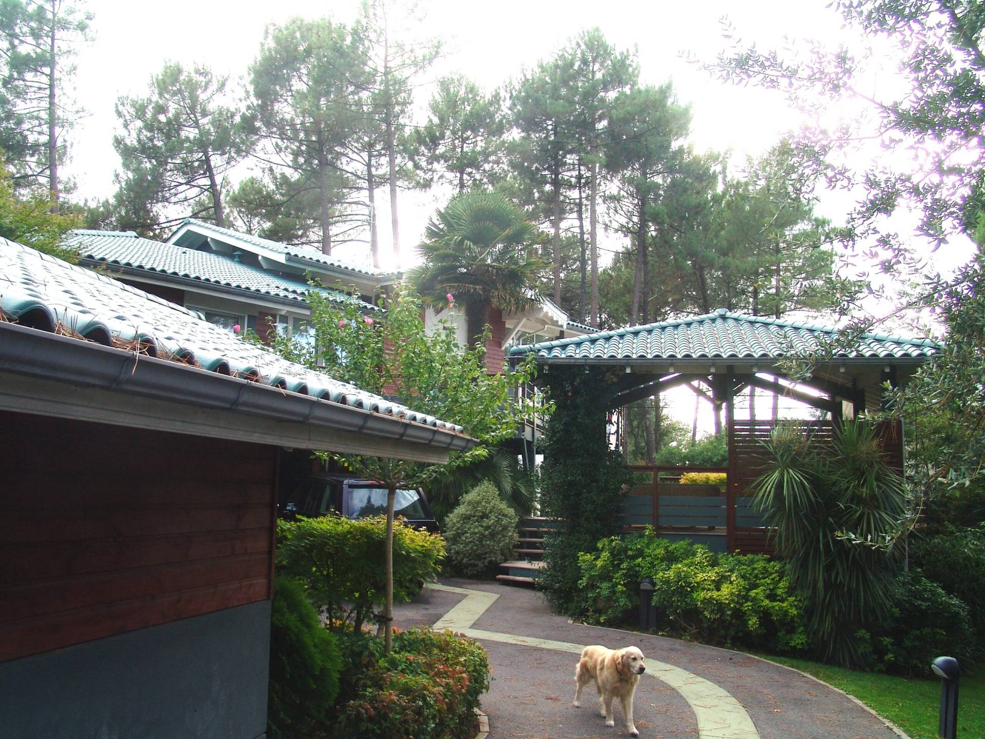 Francois Gassan Architecte